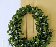 Green leaf wreath