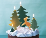 Chocolate cake with snowy meringue