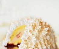 Baked alaska