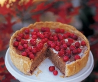 Cranberry, almond and cinnamon tart