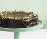 Chocolate pistachio torte