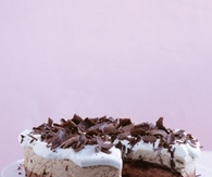 Chocolate chestnut mousse cake