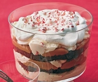 Triple chocolate peppermint trifle