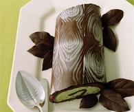 Pistachio chocolate buche de noel