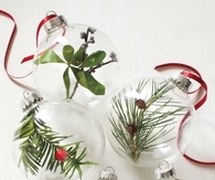 Nature ornaments