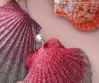Natural shell ornaments