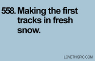 558-snow