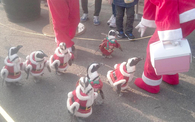 Christmas penguins
