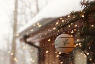 Outside Ornament