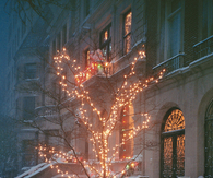Outdoor christmas tree