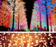 Beautiful colorful tree lights