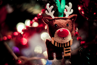 Reindeer ornament