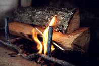 Firewood