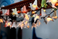 DIY Strung Carton Lighting