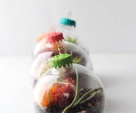 Terrarium ornaments