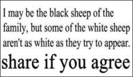 Black Sheep