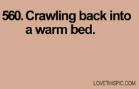 560-warm-bed