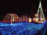 Animated Lights