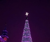 Purple City Christmas Tree