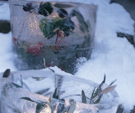 Ice buckets