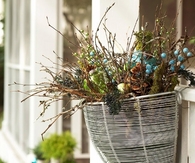 Plant holder
