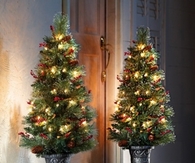 Christmas tree doorstep decor