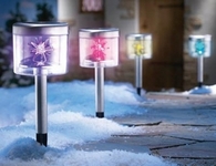 Colorful pathway lights