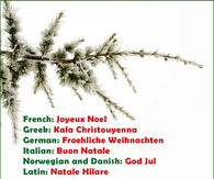 Christmas In All Languages