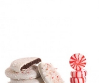 Chocolate peppermint cookies