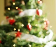 Decorative ornaments