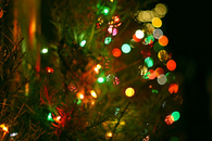 Festive lights