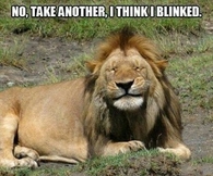 No, take another, I think I blinked