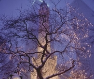 Chicago in the Winter