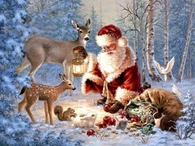 Christmas in the forest