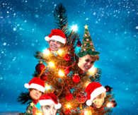 Bieber Tree