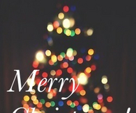 Merry Christmas