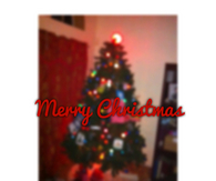 Merry Christmas