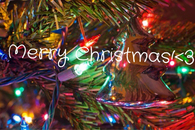Merry Christmas