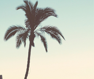 Just Relax and Let Go