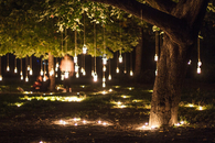 Hanging lights