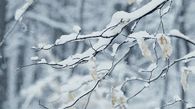 Snowfall in winter