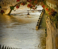 Bank of River Seine, Paris 