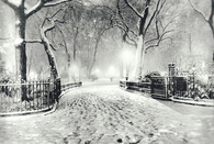 Black and white snowfall