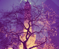 Fantasy lights