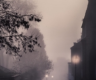 Misty winter morning