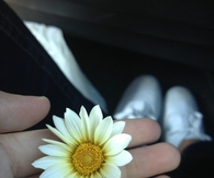 Find peace