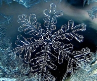 Frozen snowflake