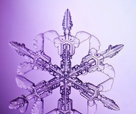 Purple snowflake