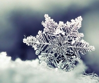 Snowflake closeup