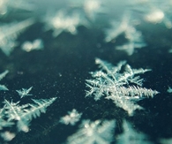 Snow frost